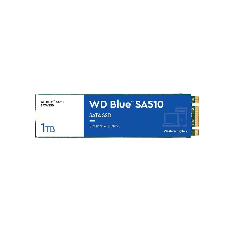 Western Digital Blue SA510 Internal Solid State Drive - 1TB SSD - SATA III - M.2 2280 (WDS100T3B0B)