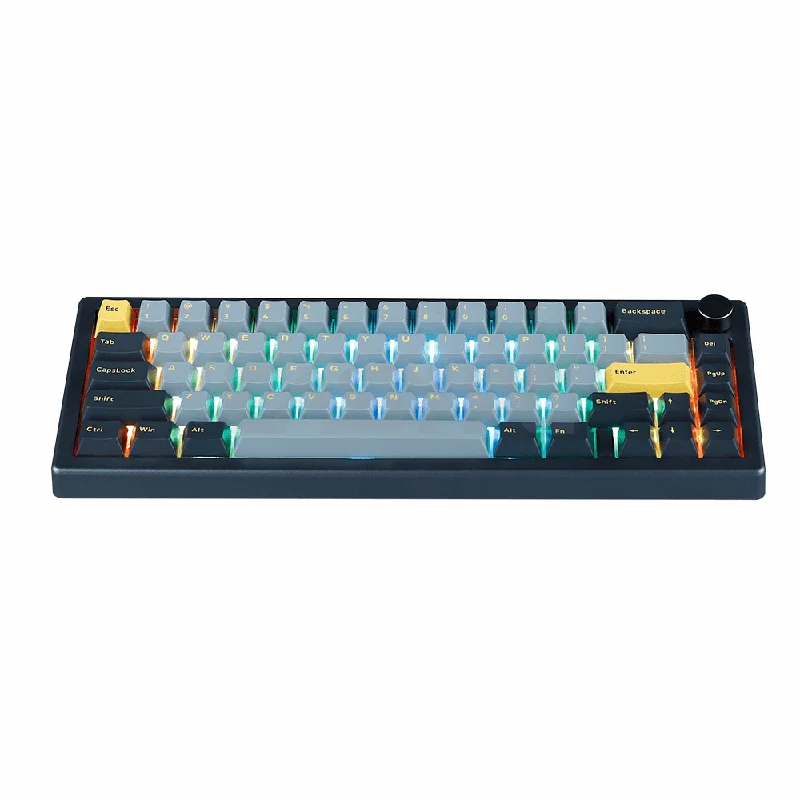 RAKK PIRAH PLUS 66 Keys Universal HotSwap Mechanical Gaming Keyboard